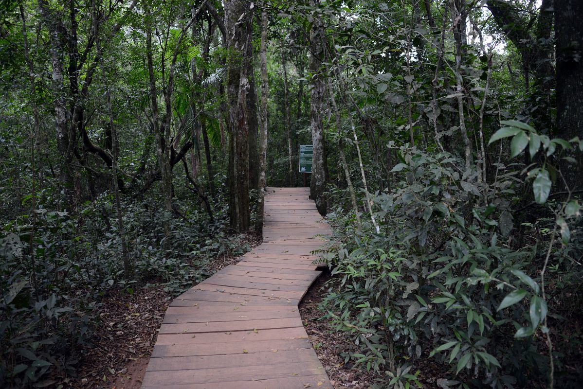 04 We Walked The Final Portion Of The Macuco Safari Towards The Boat Tour At Brazil Iguazu Falls